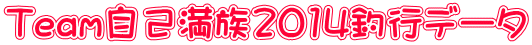 Team���Ȗ���2014�ލs�f�[�^