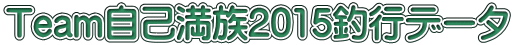 Team���Ȗ���2015�ލs�f�[�^